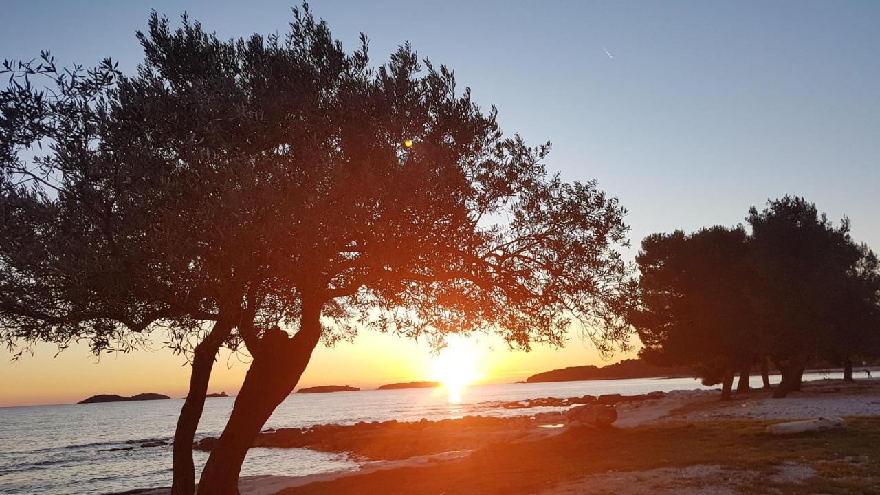 Apartments Alea Rovinj Eksteriør bilde